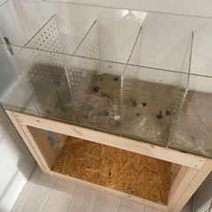 【綺麗♪】アクリル水槽　900×300×360mm フルセット　セパレーター付き　早い者勝ち　ブリーディング水槽
