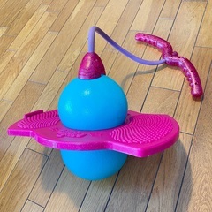 ゾインゴボインゴ（美品）