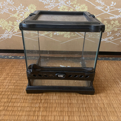 受け渡し決定グラステラリウムナノキューブ　No.1