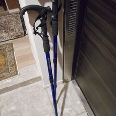 ノルディックウォーキング用ポール