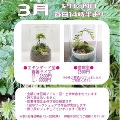 【東京都葛飾区】3月12日苔テラリウムのワークショップを開催します