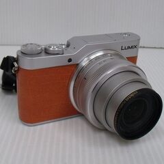 Panasonic 1600万画素ミラーレス一眼 LUMIX D...