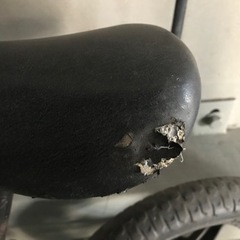 ストライダーの画像