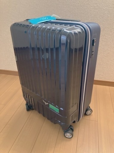 値下げしました！でかいキャリーケース
