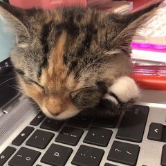【関東】◆ITツールによる業務改善・Excel・SNS利用支援！...
