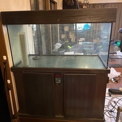 決定しました】オーバーフローガラス水槽セット 特注1200×580×530
