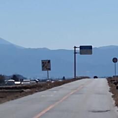 写真　富士山への道の画像