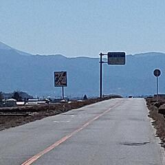 写真　富士山への道の画像