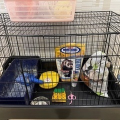 小動物 ゲージ　セット