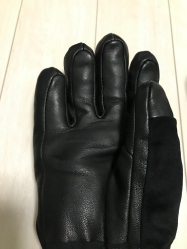 アルパイン　テックグローブ　M
