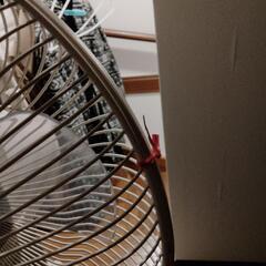 扇風機ですの画像