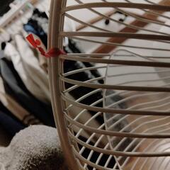 扇風機ですの画像