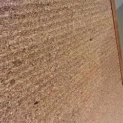 コルクボード4枚セットの画像