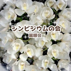 シンビジウムの会(洋ラン教室)★会員様募集中★月一の習い事はじめてみませんか？の画像