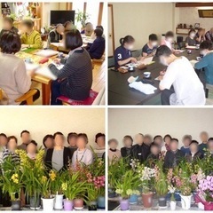 シンビジウムの会(洋ラン教室)★会員様募集中★月一の習い事はじめ...