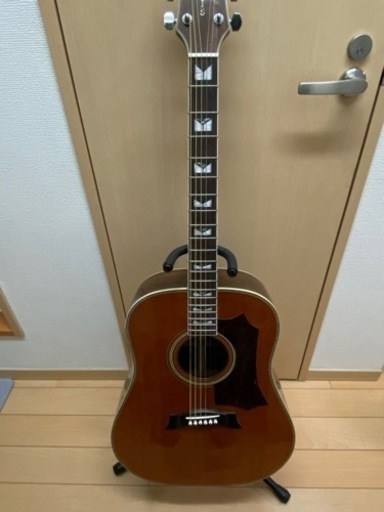 弦楽器、ギター Morris mg-60