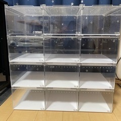 レプタイルボックス
