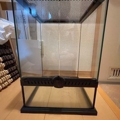 レインフォレストタンクS