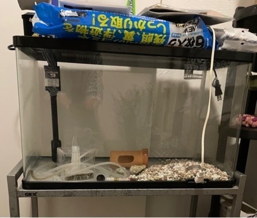 60センチ水槽セット