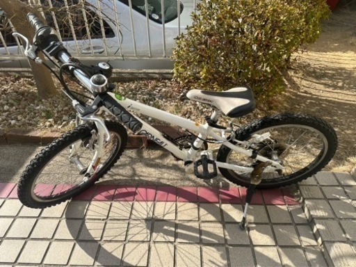 ルイガノ　20インチ　マウンテンバイクタイプ