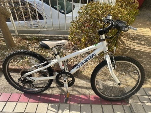 ルイガノ　20インチ　マウンテンバイクタイプ