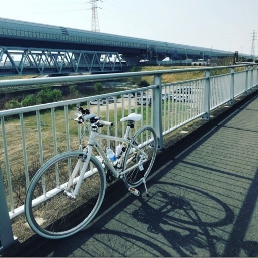 FUJI PALETTE オールホワイト　可愛い自転車