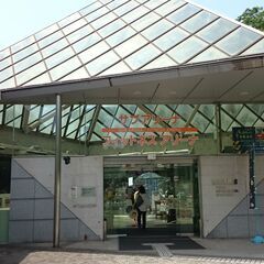 東京体育館で水泳個人レッスン！ＴＩスイム理論で誰でも楽にゆったり泳げます！の画像