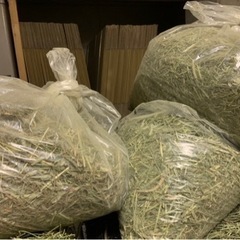 15キロお買い得牧草チモシー　訳あり　全国配送　