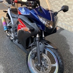 cbr250r      