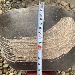 金魚鉢　水鉢の画像