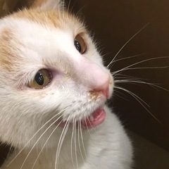 【急募】少し小さめな男の子