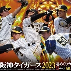 野球観戦行きませんか？