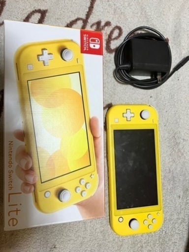 Switchライト ジャンク品