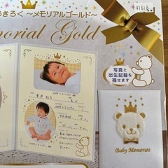 お誕生記録 メモリアルの画像