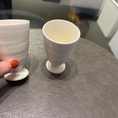 【あげます】少し大きめ ちょいのみの画像