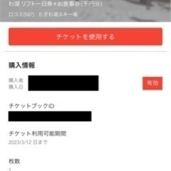 たざわ湖スキー場リフト一日券＋食事券千円分②