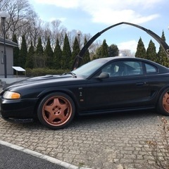 AUTO COUTURE SUPREME 19”の画像