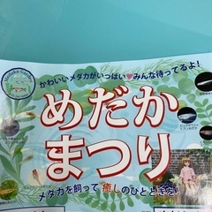 2023.3.4土曜めだか屋さんやります。