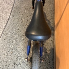 ストライダーの画像