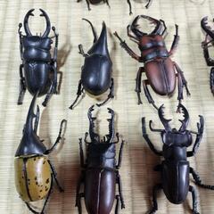 クワガタ・カブト虫フィギュアの画像