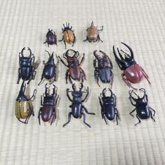 クワガタ フィギュア(おもちゃ)の中古が安い!激安で譲ります クワガタ フィギュア(おもちゃ)の中古が安い!激安で譲ります