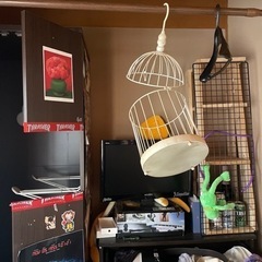 鳥籠　トリカゴ