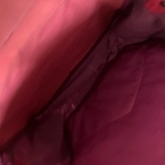 値下げ！アリエル　リュックサックの画像