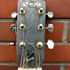 ギター　モーリス　Morris w-18　アコースティックギターの画像