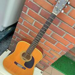 ギター　モーリス　Morris w-18　アコースティックギター