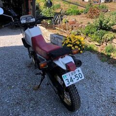 商談中！　YAMAHA XT250Tの画像