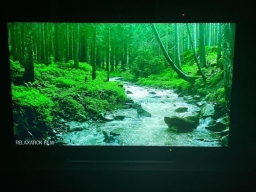 55インチ液晶テレビTOSHIBA REGZA G20X 55G20X