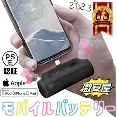 ‼️✨全日本最安値挑戦中✨‼️ 💖【新品】【未使用】PSE認証済...
