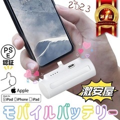 ‼️✨全日本最安値挑戦中✨‼️ 💖【新品】【未使用】PSE認証済...