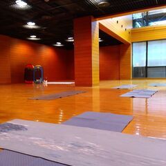 【法典・馬込沢・塚田】ストレスケアのためのヨガ～グランディング！...